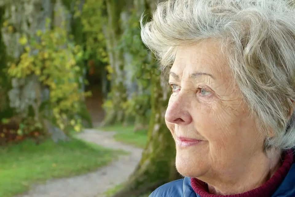Cordyceps and Autoimmune Disorders: A Promising Connection