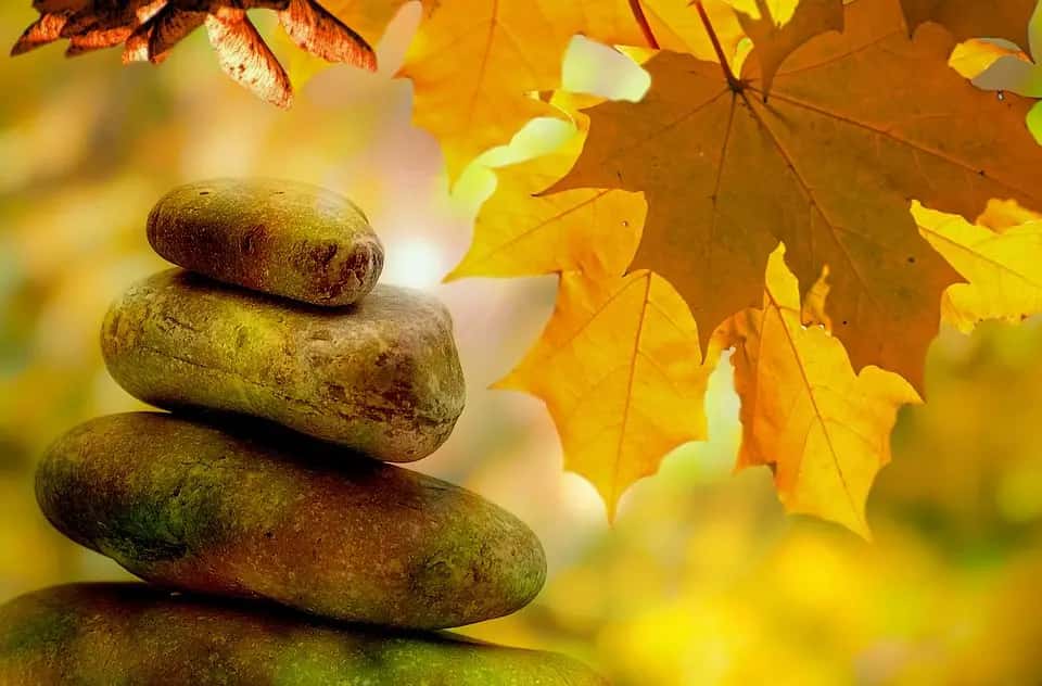 Cordyceps and Respiratory Health: A Holistic Approach