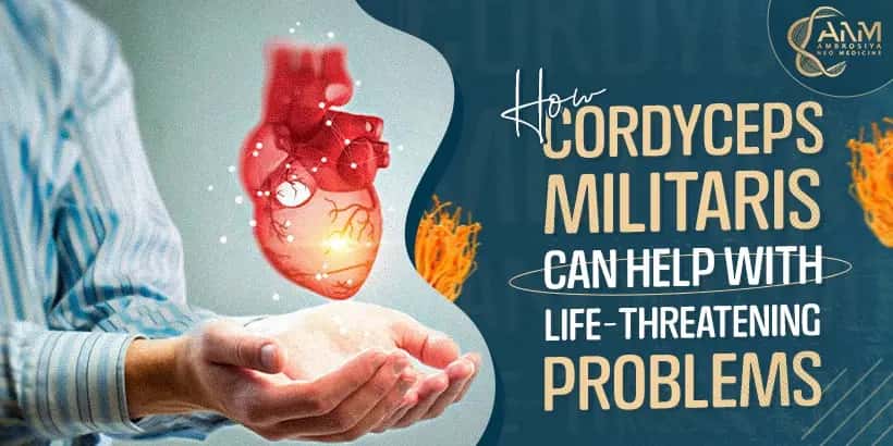 How Cordyceps Militaris can help with life-threatening problems blog image