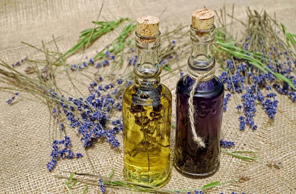 Lichen Power: Harnessing the Potential of Vitamin D3 for Optimal Health