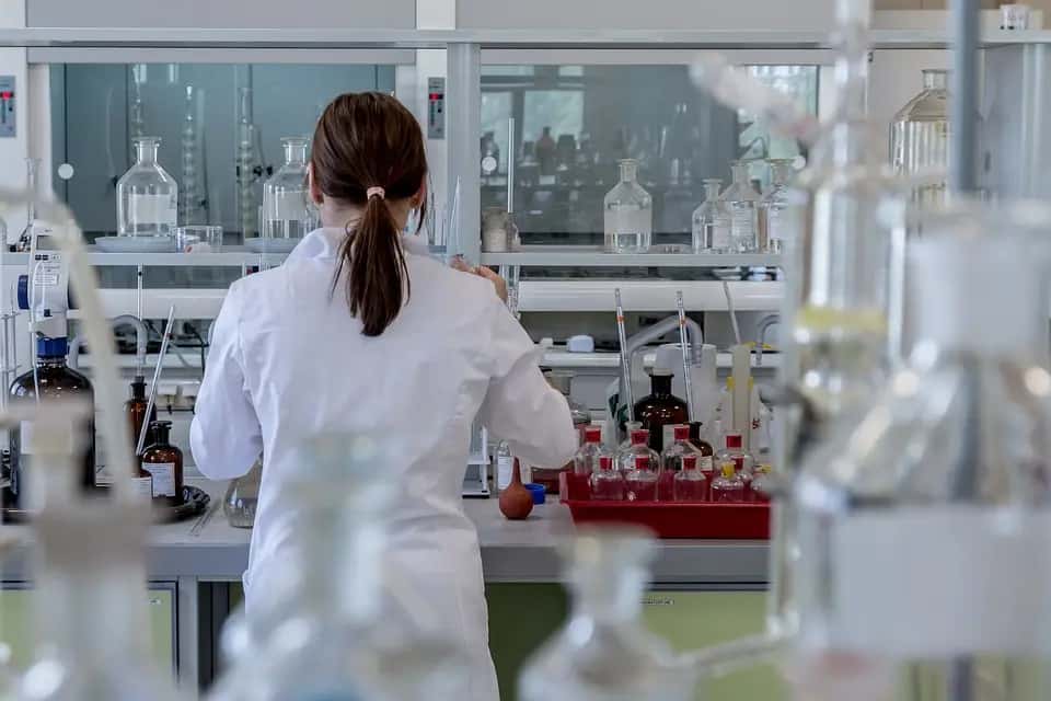 The Medicinal Marvel of Cordyceps Militaris: Tapping into Nature's Pharmacy