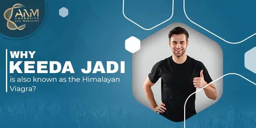 Keeda Jadi, Himalayan Viagra Blog