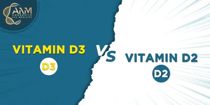 Difference between Vitamin D3 and D2 blog post
