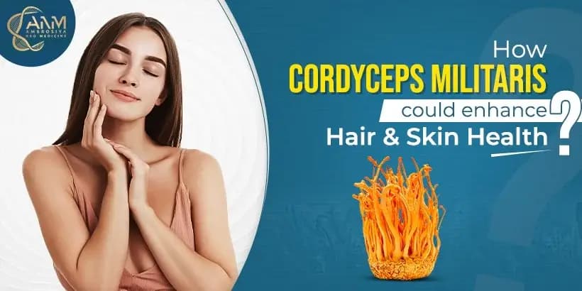 How Cordyceps Militaris Enhances Hair and Skin Health blog image