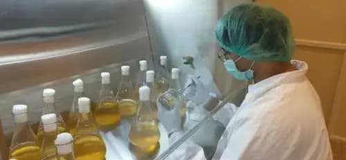 cordyceps laboratory