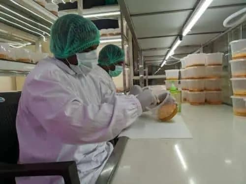 lab gallery images