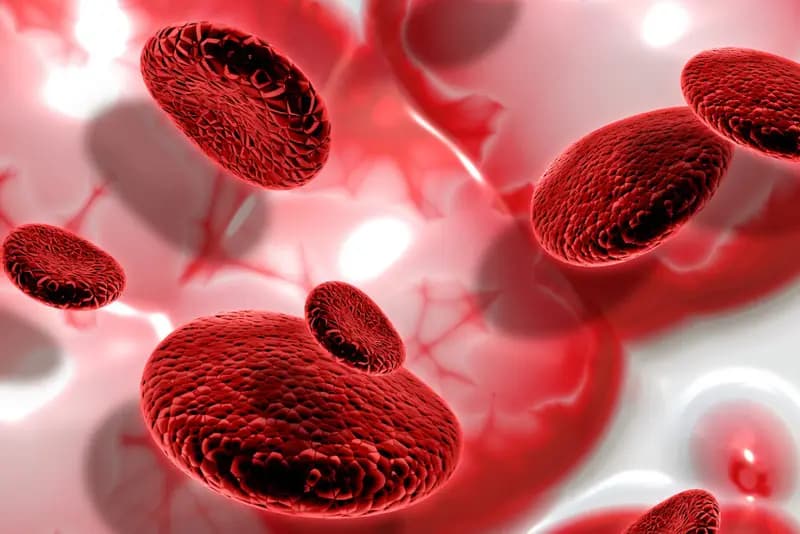 blood stream