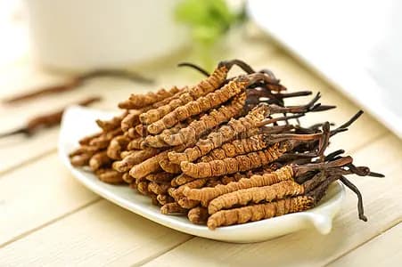 Yarsagunbu Cordyceps - An important Medical Ingredient of Sowa-rigpa