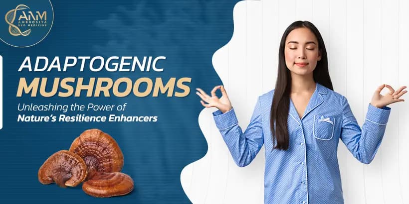 Adaptogenic Mushrooms Unleashing the Power of Nature's Resilience Enhancers blog image