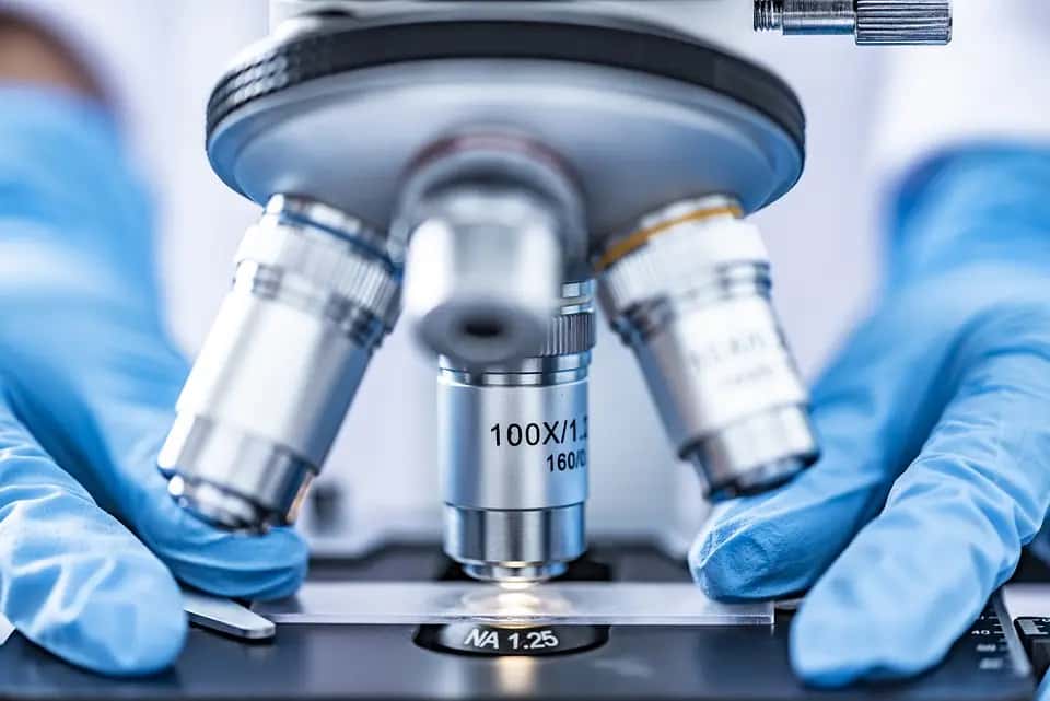 Are Vitamin D and D3 the Same: Unraveling the Differences and Benefits