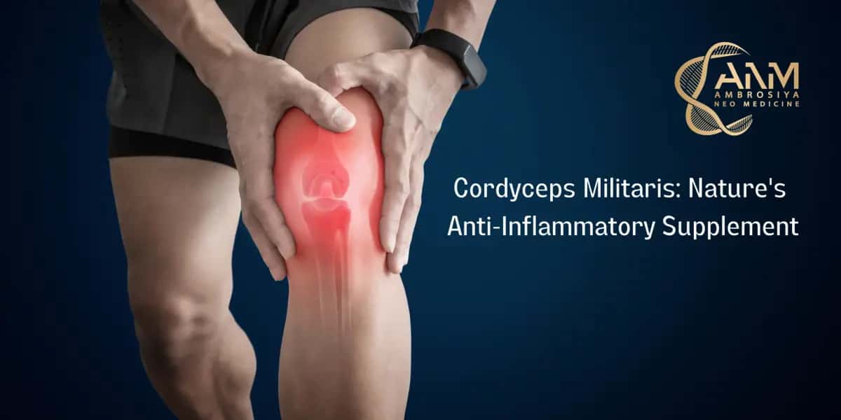 Cordyceps Militaris Nature's Anti-Inflammatory blog image Supplement