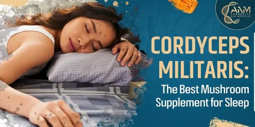 Cordyceps Militaris The Best Mushroom Supplement for Sleep blog image