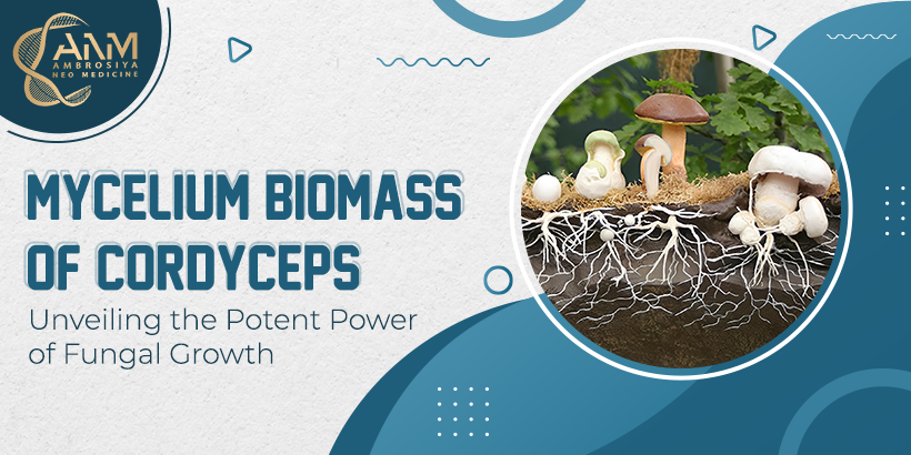 Anm-mycellium-biomass-blog-image