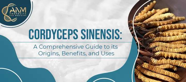 Cordyceps Sinensis A Comprehensive Guide to its Origins, Benefits, and Uses