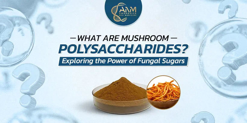 anm.health mushroom polysaccharides blog image